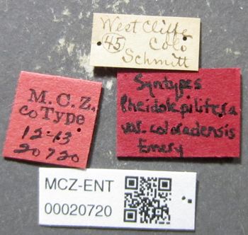 Media type: image;   Entomology 20720 Aspect: labels